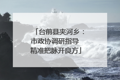 台前县夹河乡：市政协调研指导 精准把脉开良方