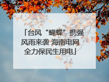 台风“蝴蝶”携强风雨来袭 海南电网全力保民生用电