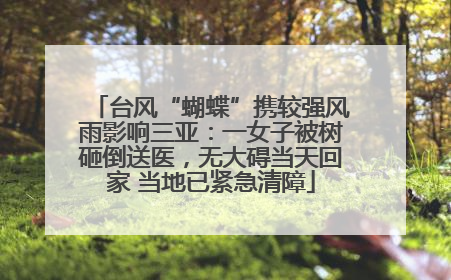 台风“蝴蝶”携较强风雨影响三亚：一女子被树砸倒送医，无大碍当天回家 当地已紧急清障