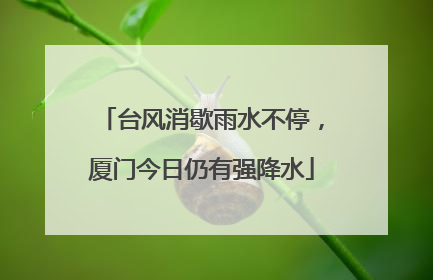 台风消歇雨水不停，厦门今日仍有强降水