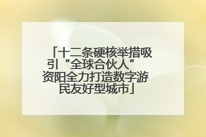 十二条硬核举措吸引“全球合伙人” 资阳全力打造数字游民友好型城市