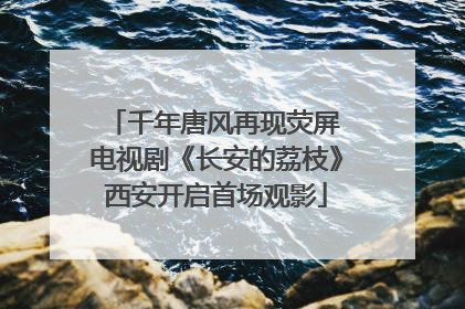 千年唐风再现荧屏 电视剧《长安的荔枝》西安开启首场观影