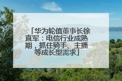 华为轮值董事长徐直军：电信行业成熟期，抓住骑手、主播等成长型需求