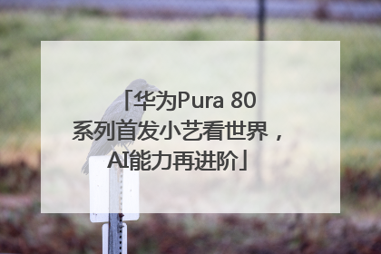 华为Pura 80系列首发小艺看世界，AI能力再进阶
