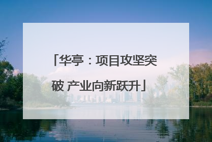 华亭：项目攻坚突破 产业向新跃升