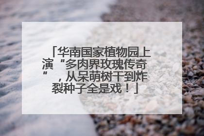 华南国家植物园上演“多肉界玫瑰传奇”，从呆萌树干到炸裂种子全是戏！