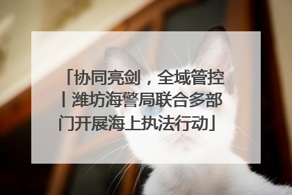 协同亮剑，全域管控丨潍坊海警局联合多部门开展海上执法行动