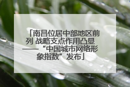 南昌位居中部地区前列 战略支点作用凸显——“中国城市网络形象指数”发布
