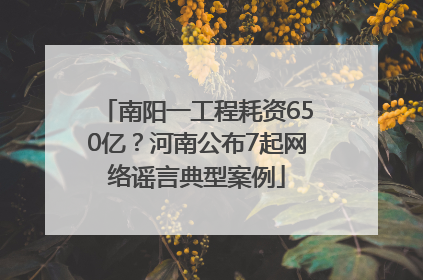 南阳一工程耗资650亿？河南公布7起网络谣言典型案例