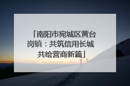 南阳市宛城区黄台岗镇：共筑信用长城 共绘营商新篇