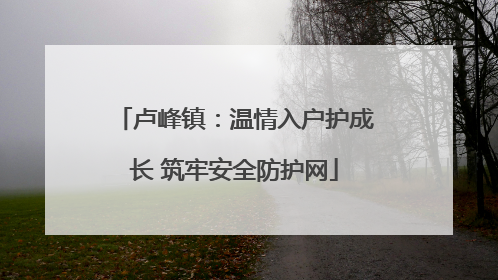 卢峰镇：温情入户护成长 筑牢安全防护网