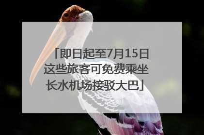 即日起至7月15日 这些旅客可免费乘坐长水机场接驳大巴