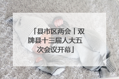 县市区两会丨双牌县十三届人大五次会议开幕