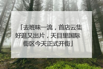 去班味一流，首店云集好逛又出片，天目里国际街区今天正式开街