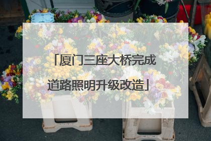 厦门三座大桥完成道路照明升级改造