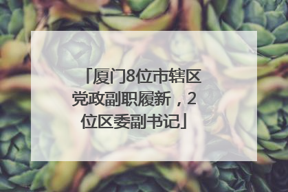 厦门8位市辖区党政副职履新，2位区委副书记