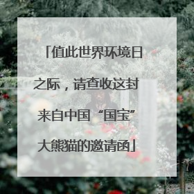 值此世界环境日之际，请查收这封来自中国“国宝”大熊猫的邀请函