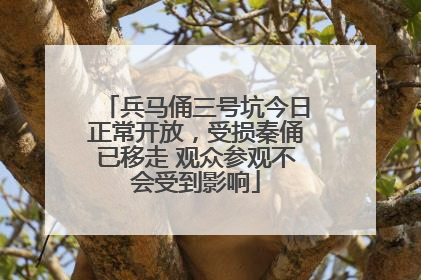兵马俑三号坑今日正常开放，受损秦俑已移走 观众参观不会受到影响