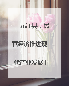 元江县：民营经济推进现代产业发展