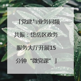 党建与业务同频共振：岱岳区政务服务大厅开展15分钟“微党课”