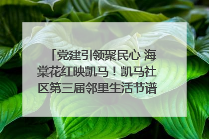 党建引领聚民心 海棠花红映凯马！凯马社区第三届邻里生活节谱写幸福新篇章