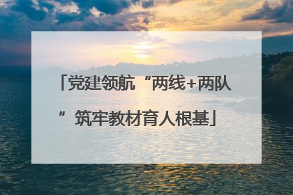 党建领航“两线+两队”筑牢教材育人根基