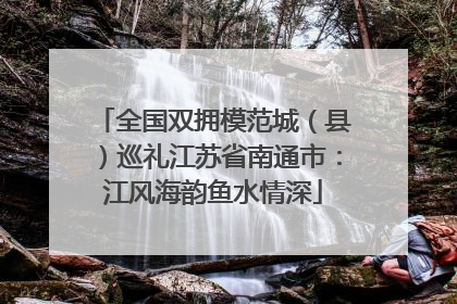 全国双拥模范城（县）巡礼江苏省南通市：江风海韵鱼水情深