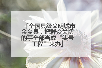全国县级文明城市金乡县：把群众关切的事全部当成“头号工程”来办
