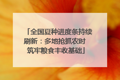 全国夏种进度条持续刷新：多地抢抓农时 筑牢粮食丰收基础