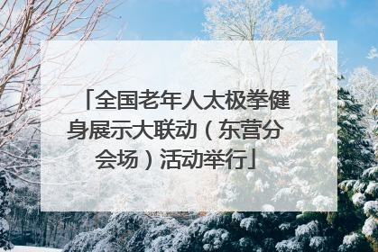 全国老年人太极拳健身展示大联动（东营分会场）活动举行