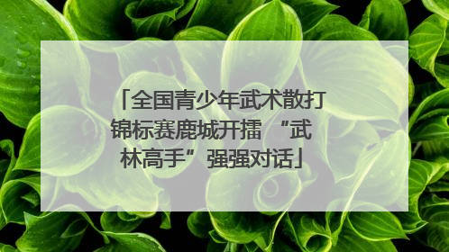 全国青少年武术散打锦标赛鹿城开擂 “武林高手”强强对话