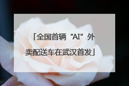 全国首辆“AI”外卖配送车在武汉首发
