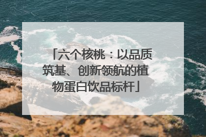 六个核桃：以品质筑基、创新领航的植物蛋白饮品标杆