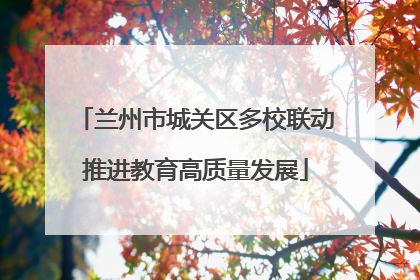兰州市城关区多校联动推进教育高质量发展