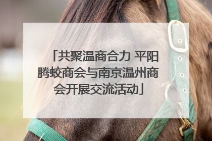 共聚温商合力 平阳腾蛟商会与南京温州商会开展交流活动