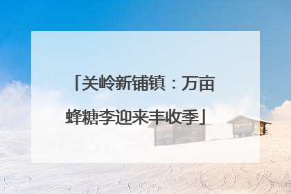 关岭新铺镇：万亩蜂糖李迎来丰收季