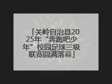 关岭自治县2025年“奔跑吧少年”校园足球三级联赛圆满落幕