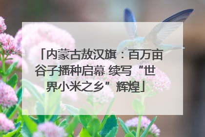 内蒙古敖汉旗：百万亩谷子播种启幕 续写“世界小米之乡”辉煌