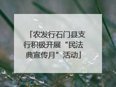 农发行石门县支行积极开展“民法典宣传月”活动