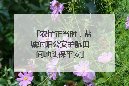 农忙正当时，盐城射阳公安护航田间地头保平安