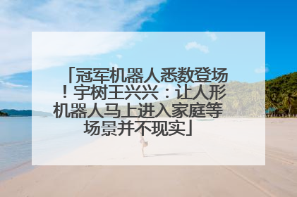 冠军机器人悉数登场！宇树王兴兴：让人形机器人马上进入家庭等场景并不现实