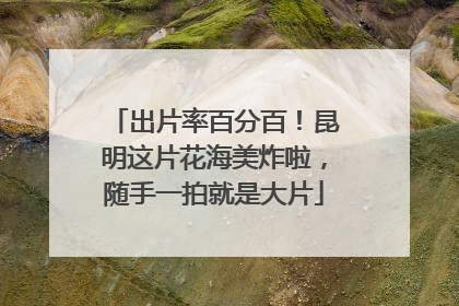 出片率百分百！昆明这片花海美炸啦，随手一拍就是大片