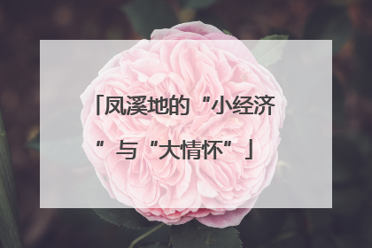 凤溪地的“小经济”与“大情怀”