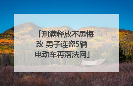 刑满释放不思悔改 男子连盗5辆电动车再落法网