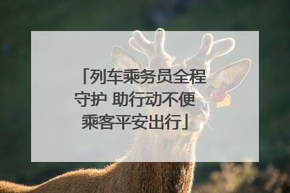 列车乘务员全程守护 助行动不便乘客平安出行