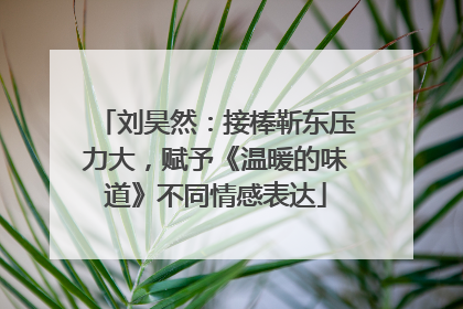 刘昊然：接棒靳东压力大，赋予《温暖的味道》不同情感表达