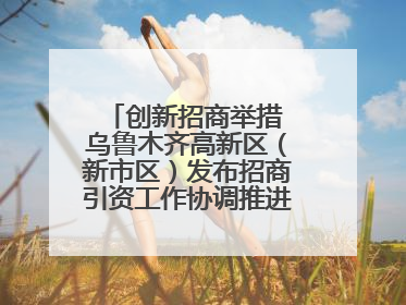 创新招商举措 乌鲁木齐高新区（新市区）发布招商引资工作协调推进机制 打造投资发展新高地