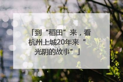 到“稻田”来，看杭州上城20年来“光阴的故事”