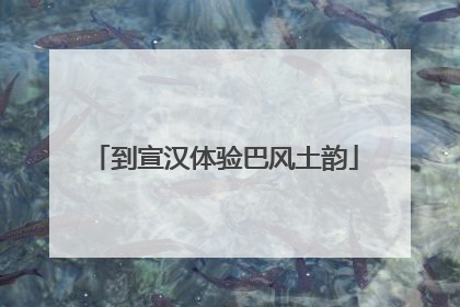 到宣汉体验巴风土韵