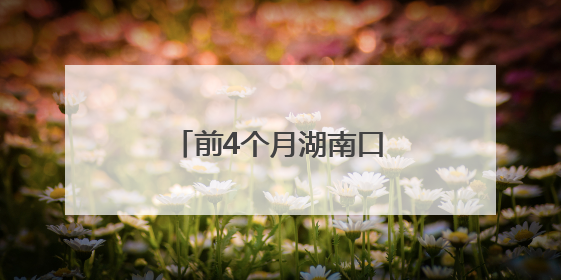 前4个月湖南口岸免签入境外籍旅客增长189%
